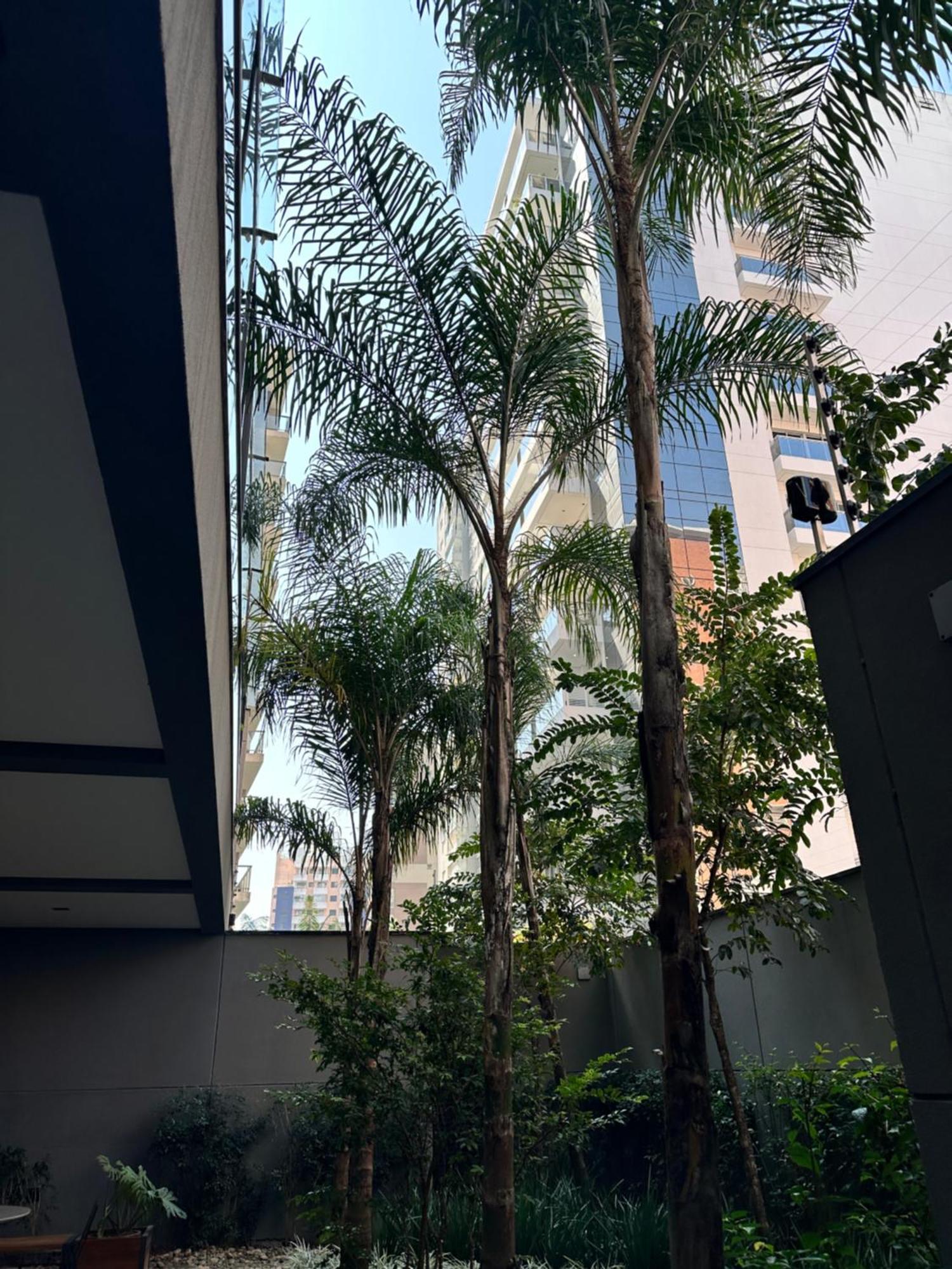 Ap102 Prox Paulista Com Varanda Retiro Urbano Sao Paulo Dış mekan fotoğraf